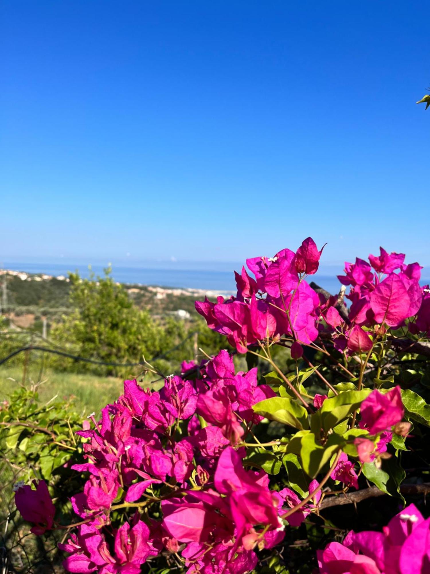 Giardino Di Sicilia Pension SantʼAgata di Militello Buitenkant foto