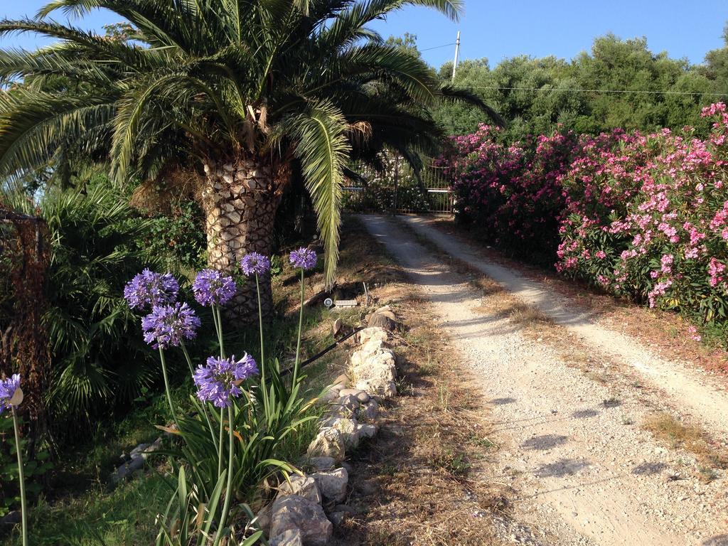 Giardino Di Sicilia Pension SantʼAgata di Militello Buitenkant foto