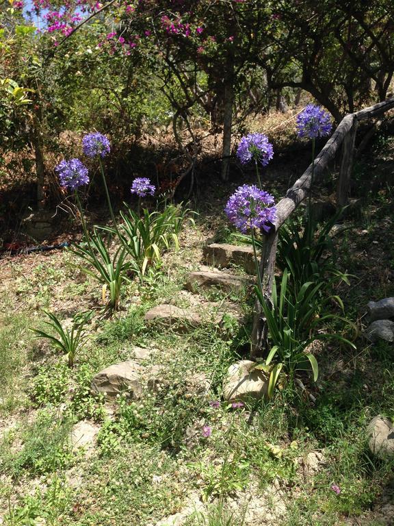 Giardino Di Sicilia Pension SantʼAgata di Militello Buitenkant foto